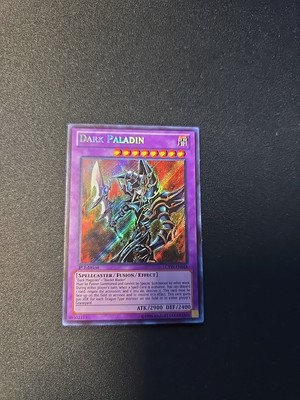 Yugioh! Dark Paladin - LCYW-EN048 - Secret Rare - 1st Edition Yugi's World-image