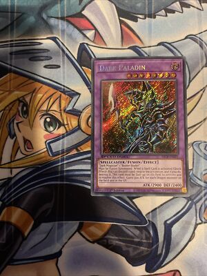 Yu-Gi-Oh! Dark Paladin (SBCB-EN021) - Secret Rare - 1st Edition NM/M-image
