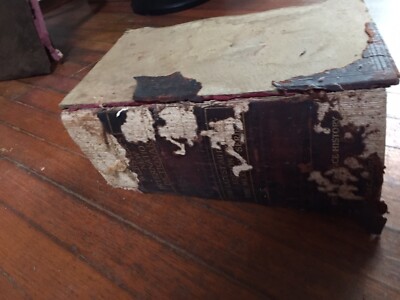 Antique 1912 Websters International Dictionary  Reference History Merriam-image