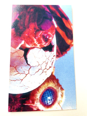 Mothra VS Godzilla Card TOHO I From Japan G-6-image