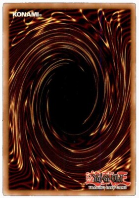 YuGiOh Paladin of Storm Dragon - CYHO-EN031 - Rare - Unlimited Ed M/NM X1-image