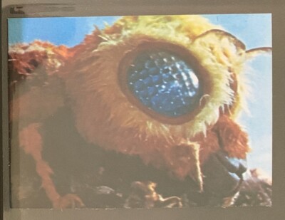 1973 vintage GODZILLA Amada Toho kaiju Card Japanese Mothra #6B-image