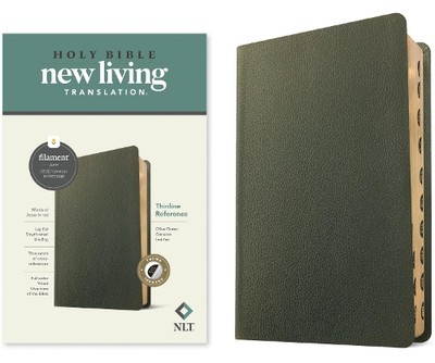 Tyndale NLT Thinline Reference Bible, Filament Edition, Green (Leather Bound)-image