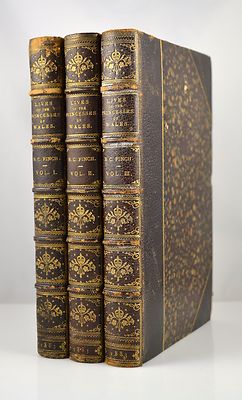 Lives of the Princesses of Wales B.C. Finch 1883 3 book Set Leather Zaehnsdorf-image