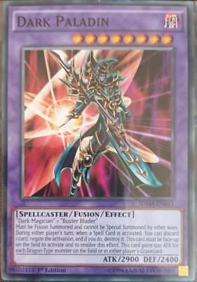 Dark Paladin-image