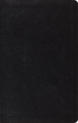 ESV Large Print Thinline Reference Bible (Leather Bound)-image
