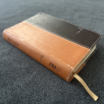 NIV Compact Cross Reference Bible By Zondervan Brand New W/ Good Size Letter Red-image