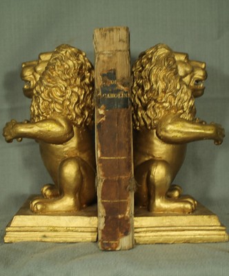 antique old book The History of South Carolina 1842 distressed leather decor-image