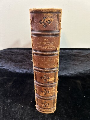America Cyclopaedia: A popular Dictionary of General Knowledge - Vol XV 1881-image