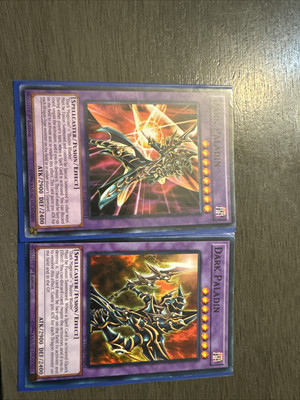 Dark Paladin 1st Edition Alternate Pose-image