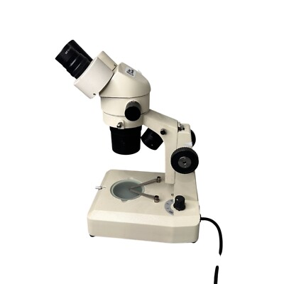 Fisher Stereomaster Stereo Microscope 12-562-16 Binocular WF10X 110V Lighted-image
