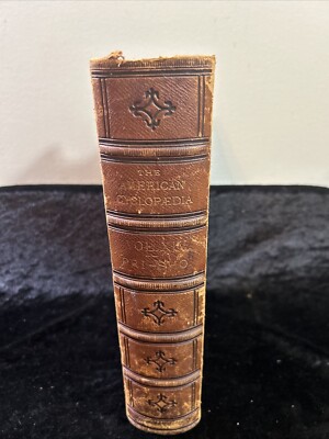America Cyclopaedia: A popular Dictionary of General Knowledge - Vol XIV 1881-image
