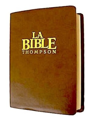 French Thompson Chain Reference Bible, Geneva New Version Imitation Leather Burg-image