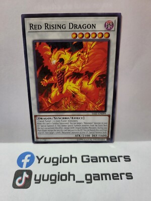 Yu-Gi-Oh Red Rising Dragon SAST Common Light Played -image