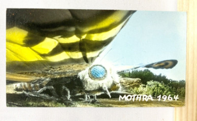 Mothra Godzilla Monster Encyclopedia 2 Card SFX TOHO TCG Japan Rare No.022-image