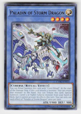 Cybernetic Horizon #CYHO-EN031 Paladin of Storm Dragon-image