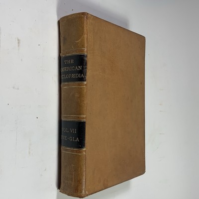 1879 American Cyclopaedia Volume 7 (VII)  Leather Antique Encyclopedia Single-image