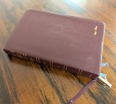 Genuine Bonded Leather Bible NIV: Reference Red Letter Edition by Zondervan-image