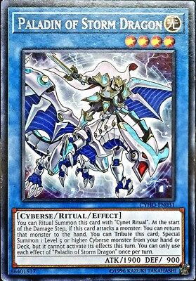 Paladin of Storm Dragon CYHO-EN031-image