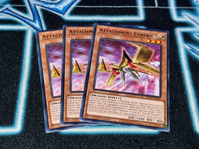 Attachment Cybern x3 - SDCS - Common-image