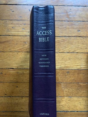 The Access Bible, NRSV, O'Day, Peterson, 1st, Leather, Oxford University, 1999-image