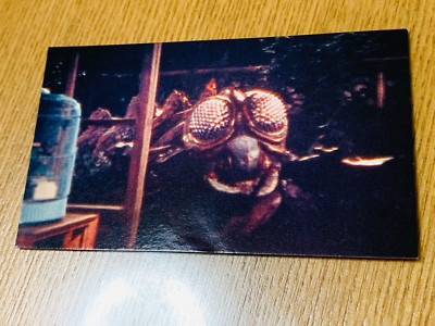 Meganeura Godzilla Card No.59 TOHO From Japan G-81-image