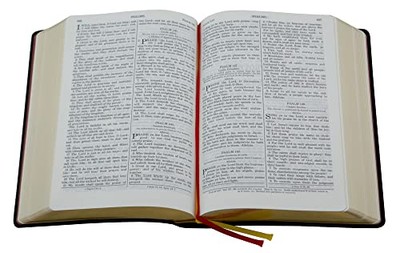The Holy Bible: Douay-Rheims Versio..., Richard Challon-image