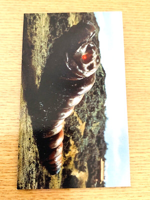 Mothra Godzilla Card TOHO I From Japan G-14-image