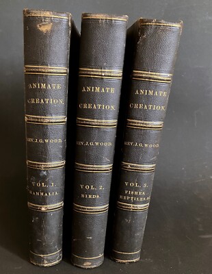 1885 ANIMATE CREATION Complete 3 Vol. JG Wood - Mammalia Birds Fishes & Reptiles-image