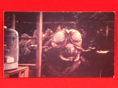 Meganuron Radon Godzilla card 4inch Barcode Battler vintage  No.39 rare TOHO-image