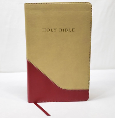 Giant Print Reference Bible KJV Personal Size Hendrickson Tan Red Faux Leather-image